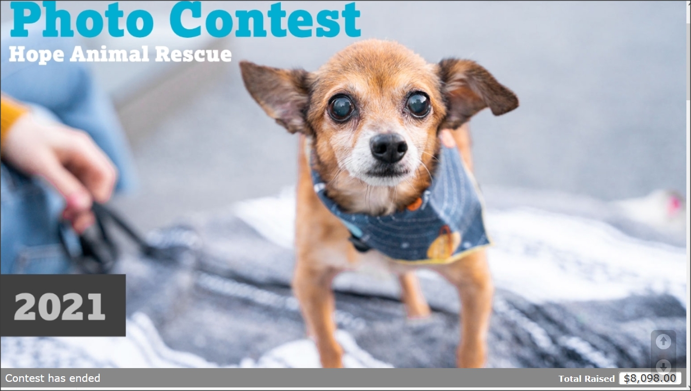 screenshot of Make My Contest